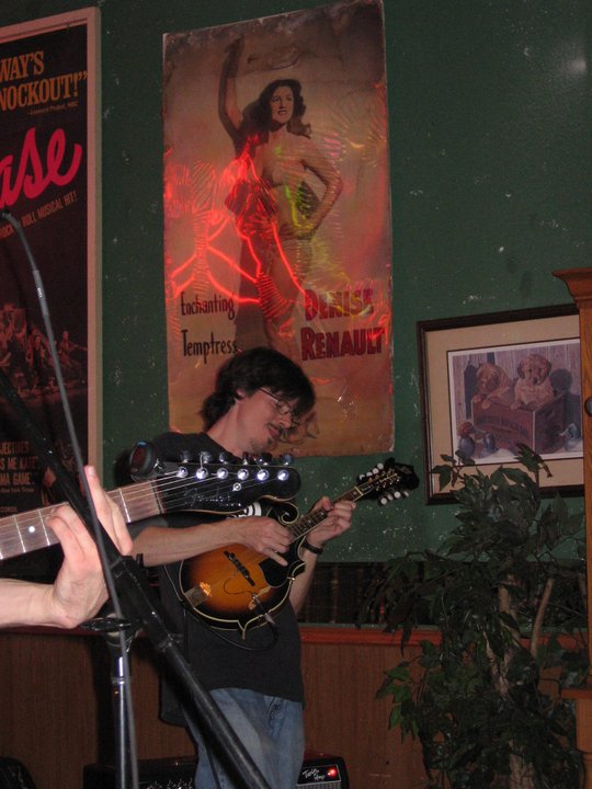 Flamboyance of Flamingos 2